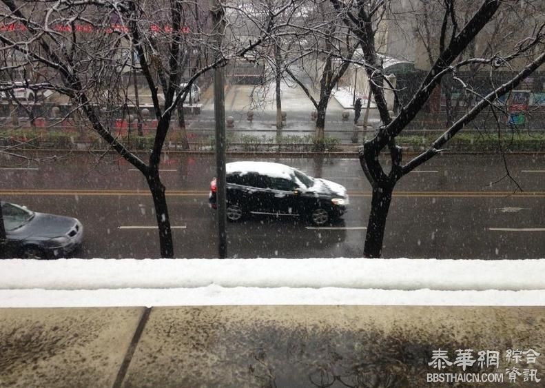 清明时节雪纷纷！宁夏回族自治区银川下雪了