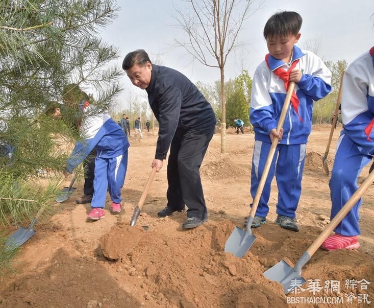 习近平：发扬前人栽树后人乘凉精神，多种树、种好树、管好树