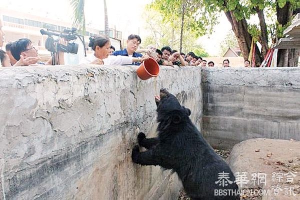 伸手喂黑熊 泰游人右臂遭噬见骨