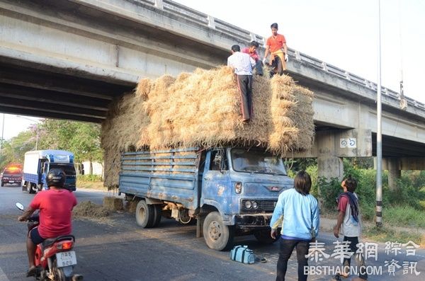 货车草垛高度超标卡桥底  随车人员撞上天桥摔下车受重伤
