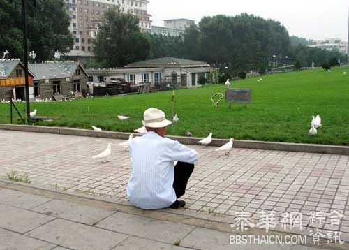 南昌一诈骗团伙喊几句爷爷奶奶骗走269万，拿钱回家盖楼