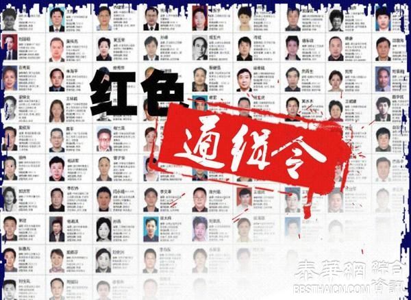 百人“红通令”公布一年26人归案，追逃进入“攻坚克难年”