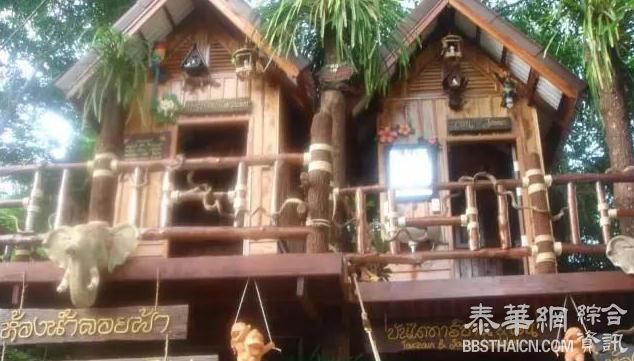蹲还是坐？泰国政府要和“水瓢+蹲厕”说拜拜，泰国人撕了起来！