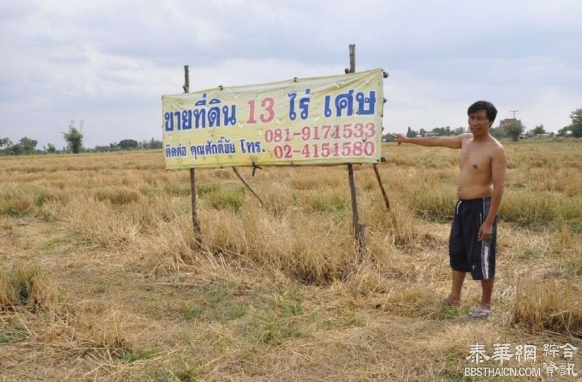 哈泰米市场调查报告显示:旱灾衝击 猪肉、长豆涨价