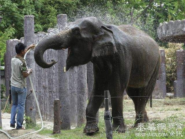炎热天气席卷整个东南亚地区  泰国的高温天气还没结束