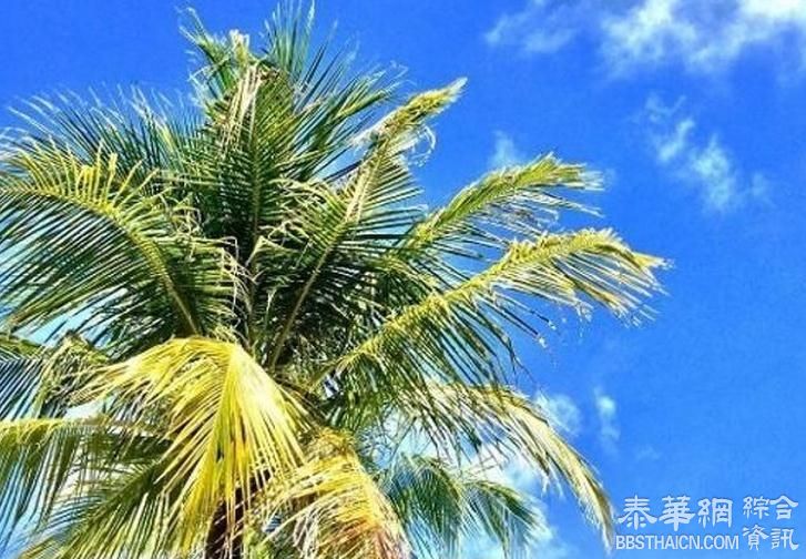 泰国将迎来雨季干旱天气将结束