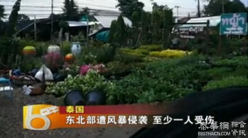 东北部遭风暴侵袭 至少一人受伤