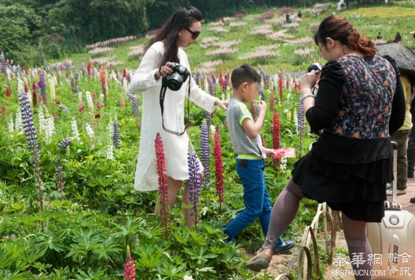 中国长假再看旅游陋习 熊孩子身后都有熊家长(组图)