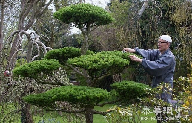 76岁僧人花35年将英国荒地改造成精美花园(高清组图)