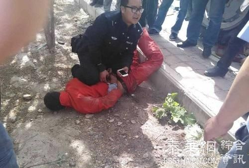 甘肃男子砍伤父亲后开拖拉机见车就撞，官方：被骂后情绪不稳