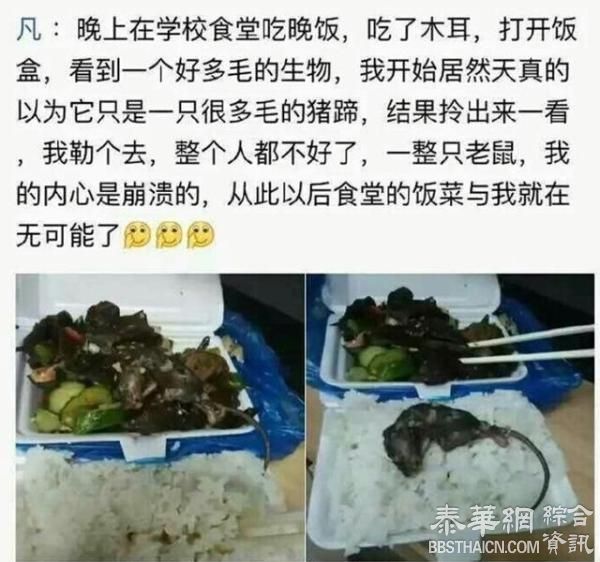 湖南衡阳一高校学生食堂吃出死老鼠，校方：将整改已辞退厨师