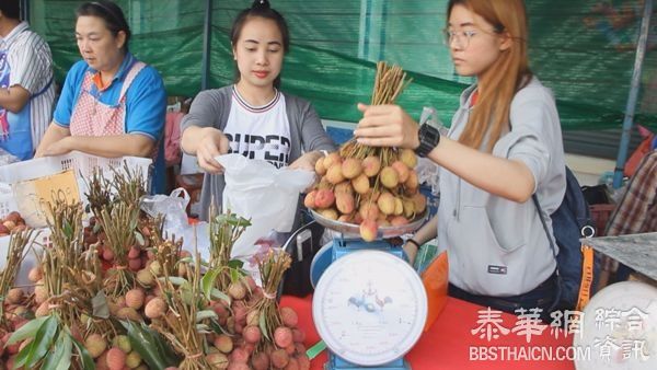 荔枝节开幕花车游行  帕夭首日气氛冷清