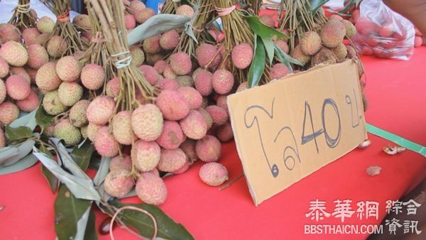 荔枝节开幕花车游行  帕夭首日气氛冷清