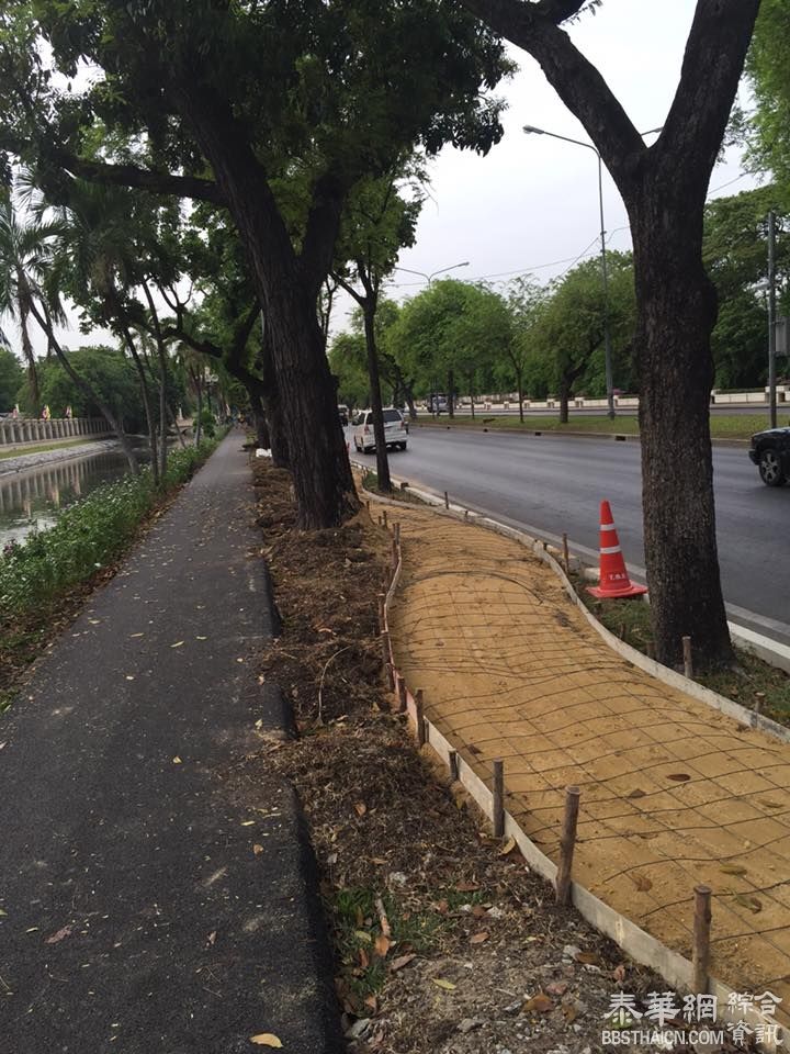 皇宫旁建单车道 遭专家在网上贴文指责為批【灾难败笔】