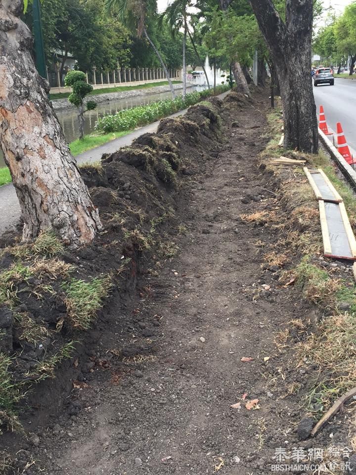 皇宫旁建单车道 遭专家在网上贴文指责為批【灾难败笔】