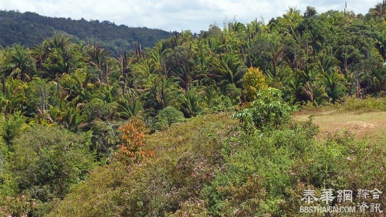 国有农耕地土地改革受阻  由于持有耕地超过500莱的大“地主”拒绝和政府方面合作