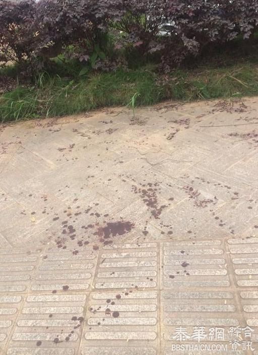 武汉十余人斗殴并有人持霰弹枪滋事，9名涉案人员被控制