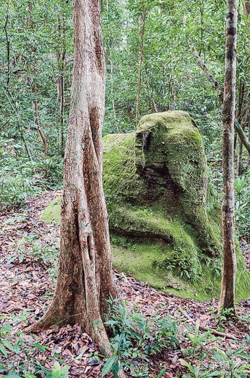 柬埔寨地下古城群曝光 激光扫描寻获 「改写东南亚歷史」