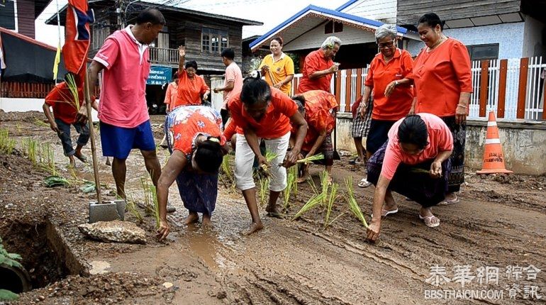 村民路上插秧 讽政府工程拖沓导致该路段一遇到下雨天便泥泞难行