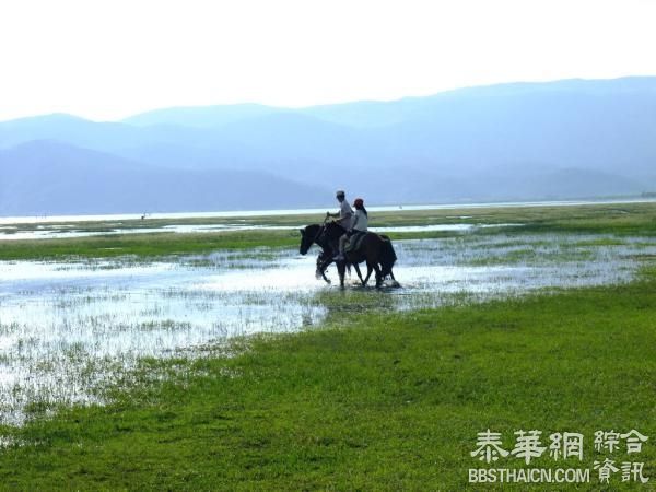 网曝4名女生丽江旅游遭马夫殴打并扔行李，官方已介入调查