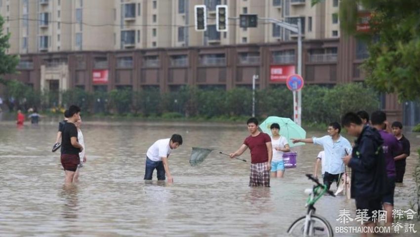 南京内河水位上涨 居民小区成"渔港"