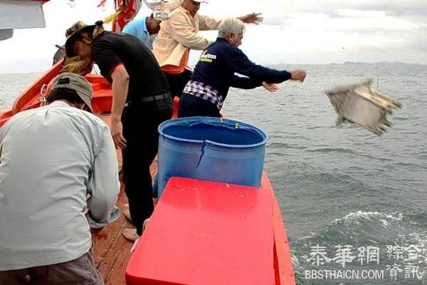 解决当地垃圾处理问题    春蓬府塔谢县县长打造海底神龕珊瑚礁