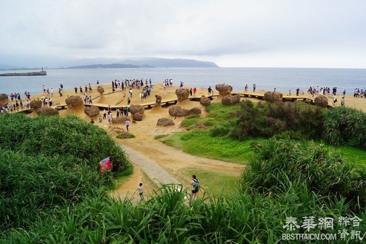 8月1日起试办1年  泰国、汶莱游客赴台30天免签