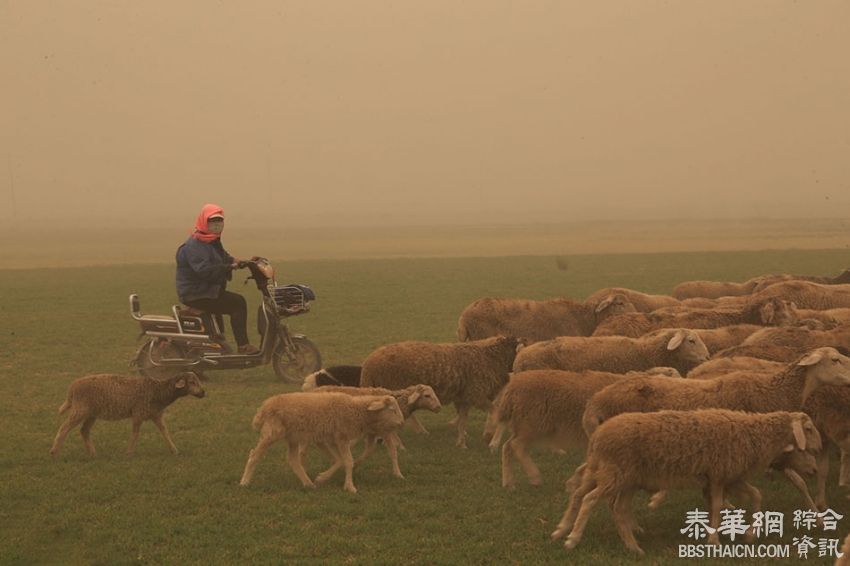 甘肃省嘉峪关出现强沙尘暴天气