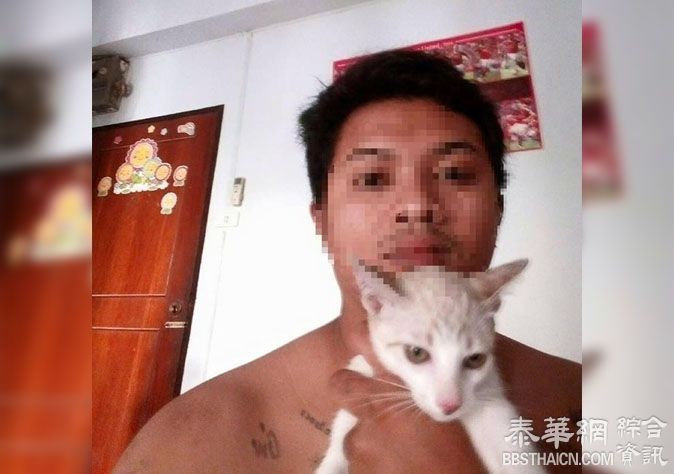 假收养 真残杀 「猫绅士」落网因至少杀死9隻猫将面临最高2年监禁