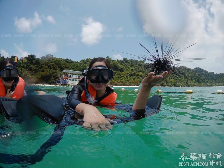 中国驻泰国大使馆提醒游客遵守泰海洋环保法  文明旅游