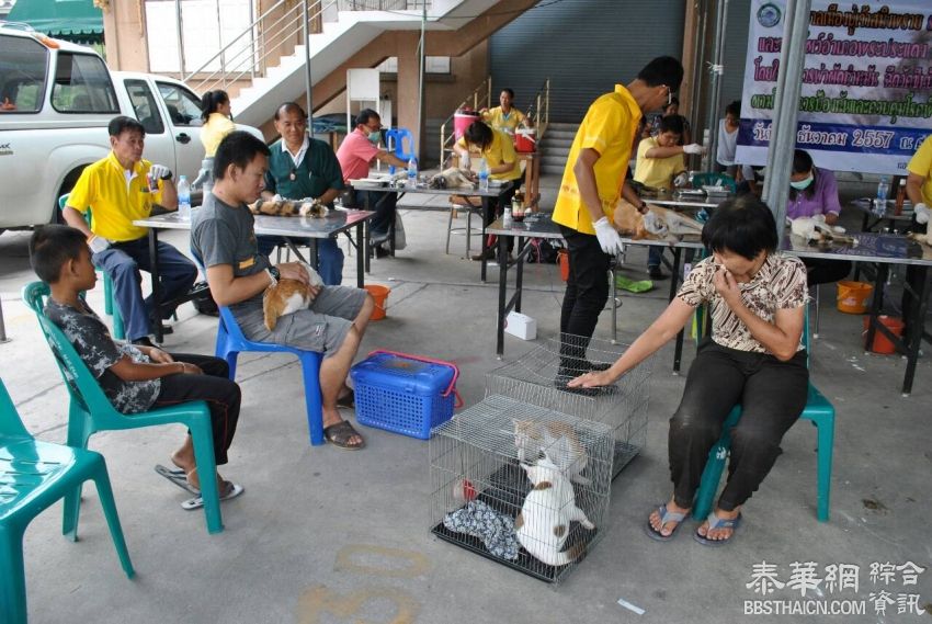 9月5-16日  曼谷50个地区办事处合作免费接种狂犬疫苗