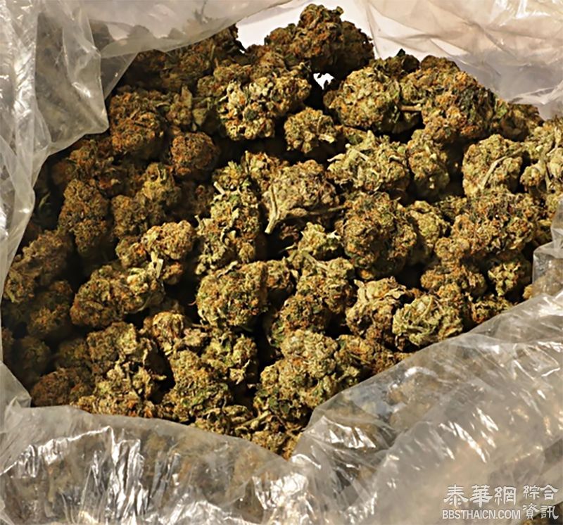 内阁批准大麻合法﹖ 食药委澄清   强调大麻依然属于毒品