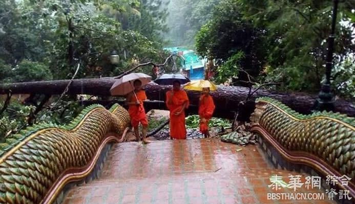 泰北多府受暴雨影响清迈双龙寺阶梯被断树砸毁