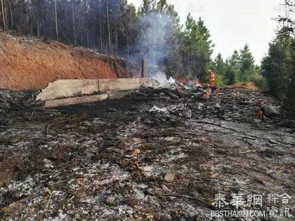 湖南宜章县一养鸡场爆炸致6人死亡，镇党委书记等3人被免职