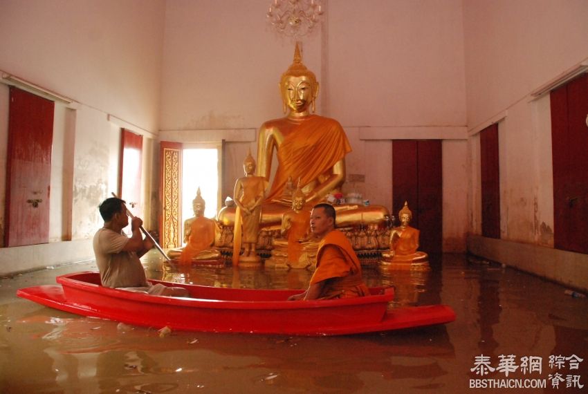 多地洪灾红统千足虫泛滥 大城寺庙只能划船