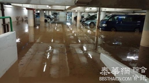 香港大水灾！　道路变激流冲走摩哆