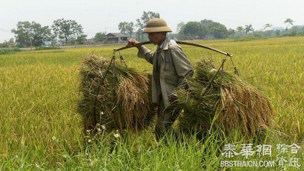 如果全世界都突然改吃素会怎样？