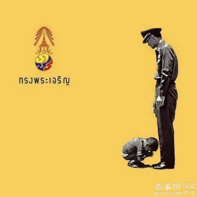 网友创意  分享这个世界