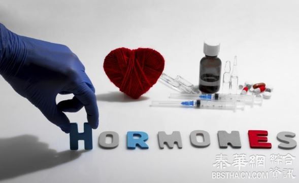 HORMONES 都是荷尔蒙惹的祸