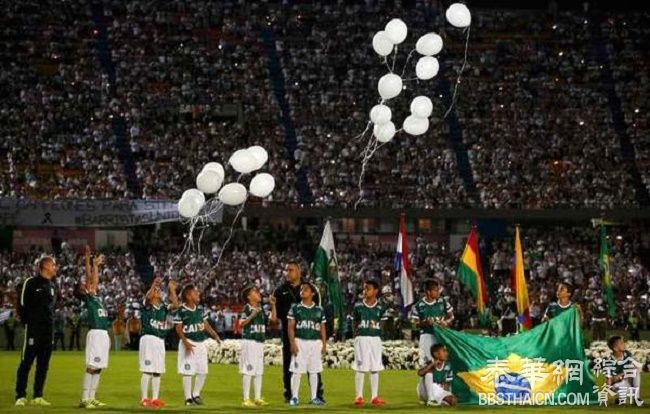 数万球迷悼念巴西遇难球员 默哀祈福