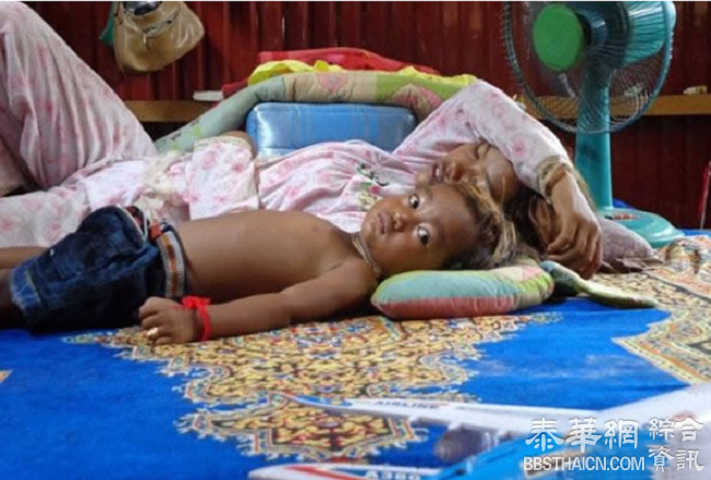 柬埔寨 2岁小男孩用叶子治病成神医