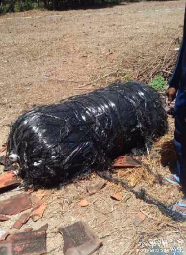 印尼乡村天降太空垃圾（大量筒状“长毛怪物”）