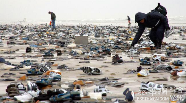 谁是冤大头：海边“鞋类超市”，“抢购”全免费