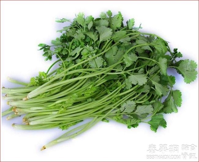 香菜(芫荽)不只是调味品！给大家介绍一下