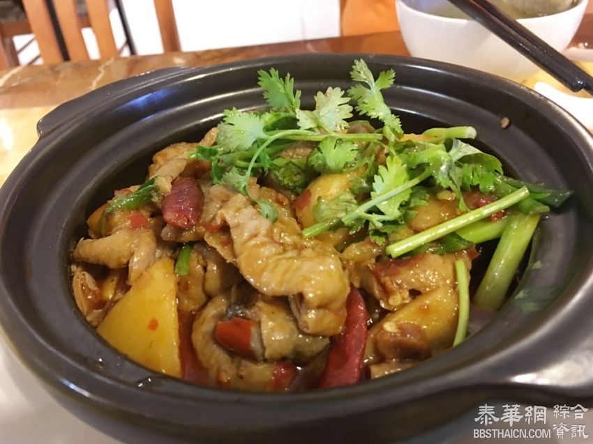 （曼谷美味中餐）栖木暹罗餐厅新品-口水鸡、红烧肥肠