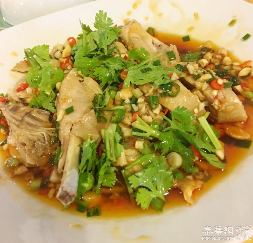 （曼谷美味中餐）栖木暹罗餐厅新品-口水鸡、红烧肥肠