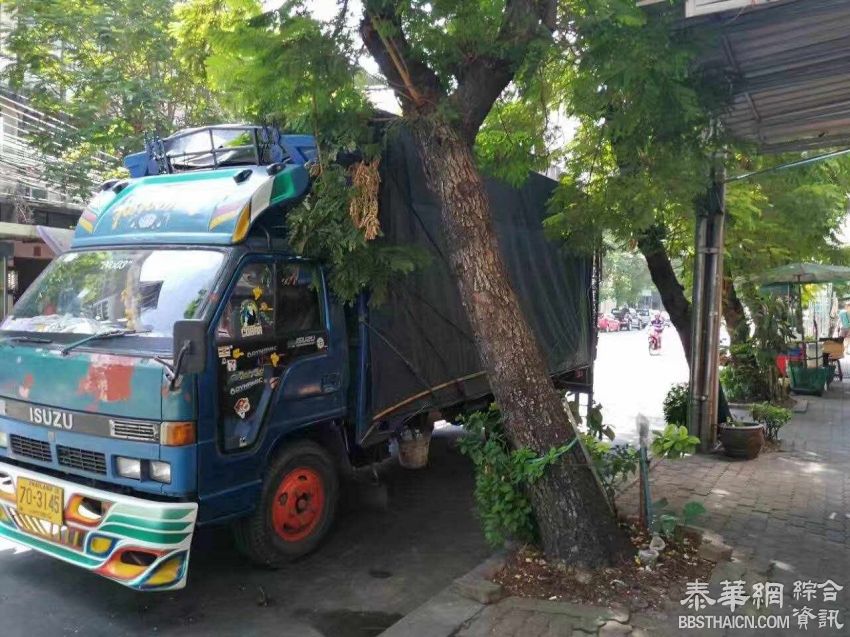 BKK国际物流跨境电商空运部启动，需要走跨境电商空运的小伙伴们可以走货了