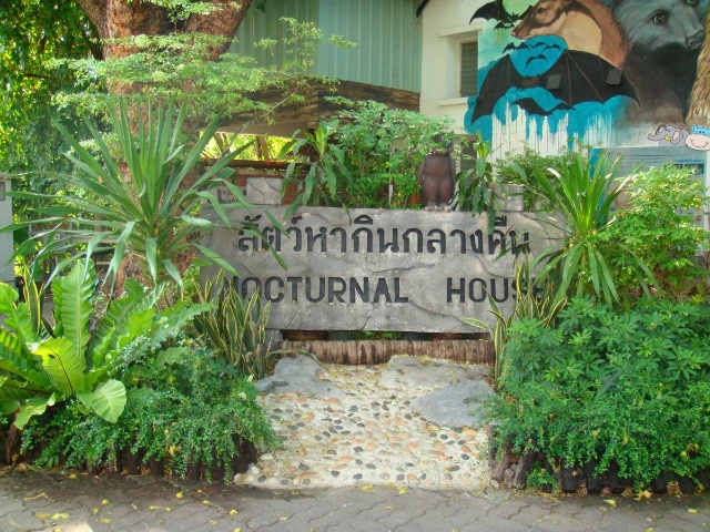 泰国考辇动物园