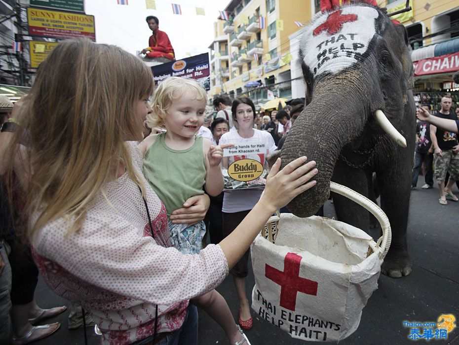 泰国大象 海地募捐