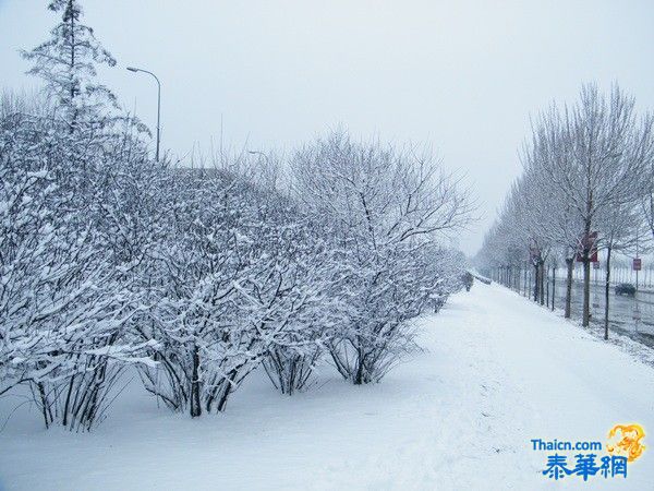 辽宁大雪